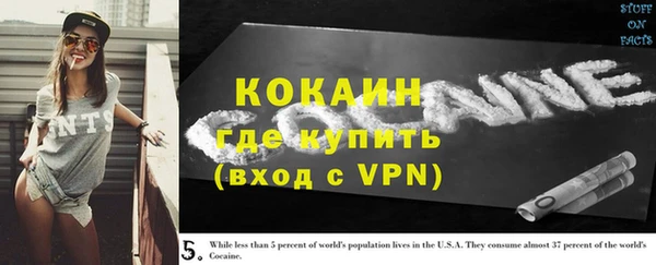 дживик Инта