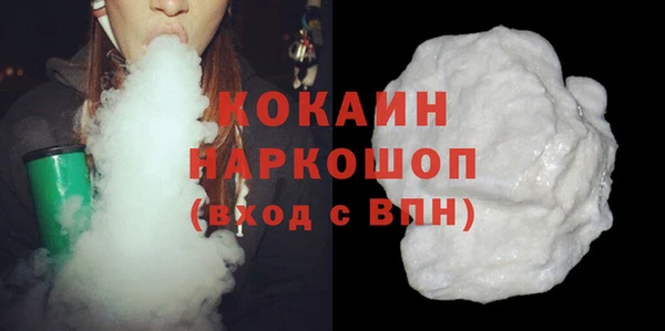дживик Инта