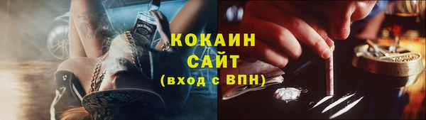 дживик Инта