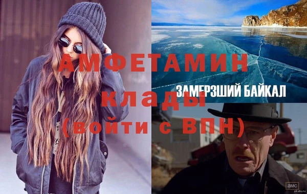 дживик Инта