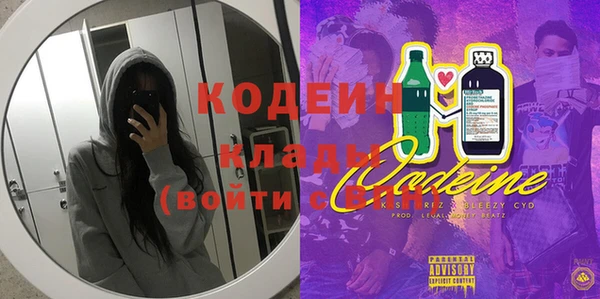 дживик Инта