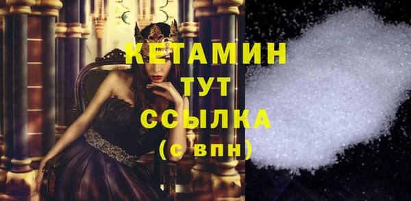ПСИЛОЦИБИНОВЫЕ ГРИБЫ Инсар